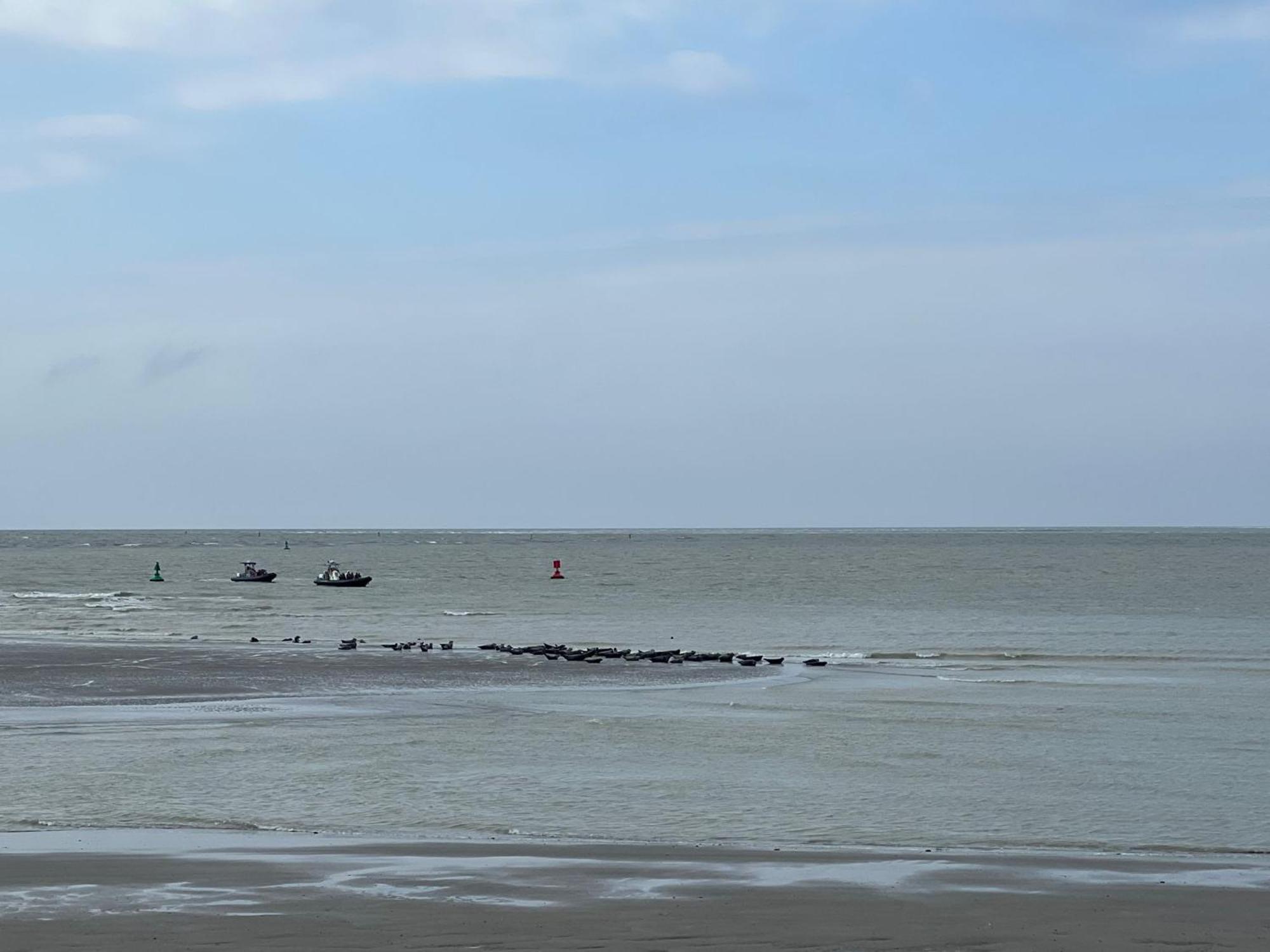 Plage A 50M Appartement Reves De Mer Villa Les Bains De Mers Exterior photo